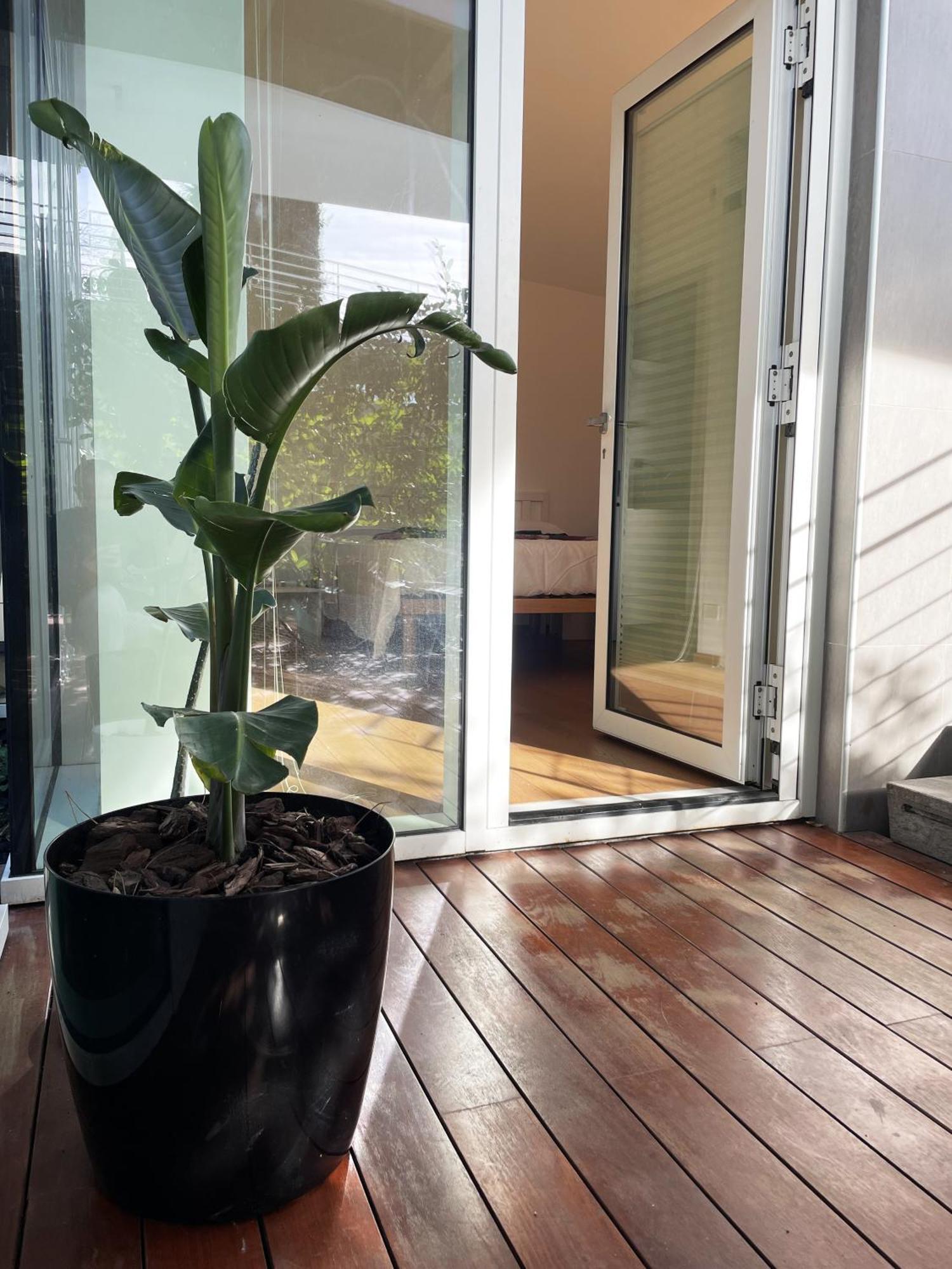 Belvedere House Apartamento Roma